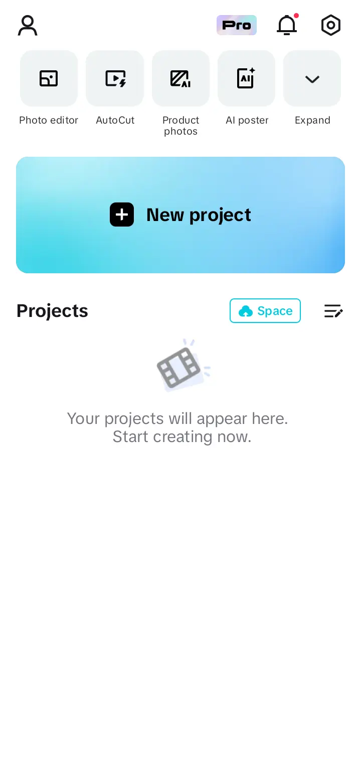 CapCut Application Screenshot - Project Screen